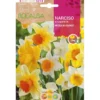 Bulbo Narciso trompeta mezcla 5 uds Rocalba