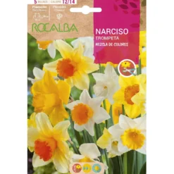 Bulbo Narciso trompeta mezcla 5 uds Rocalba
