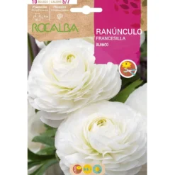 Bulbo Ranúnculo blanco 10 uds Rocalba