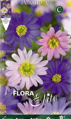 Bulbos Anémona blanda mezcla 10 uds