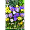 Bulbos Crocus mezcla de colores 15 uds