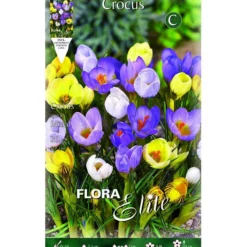 Bulbos Crocus mezcla de colores 15 uds
