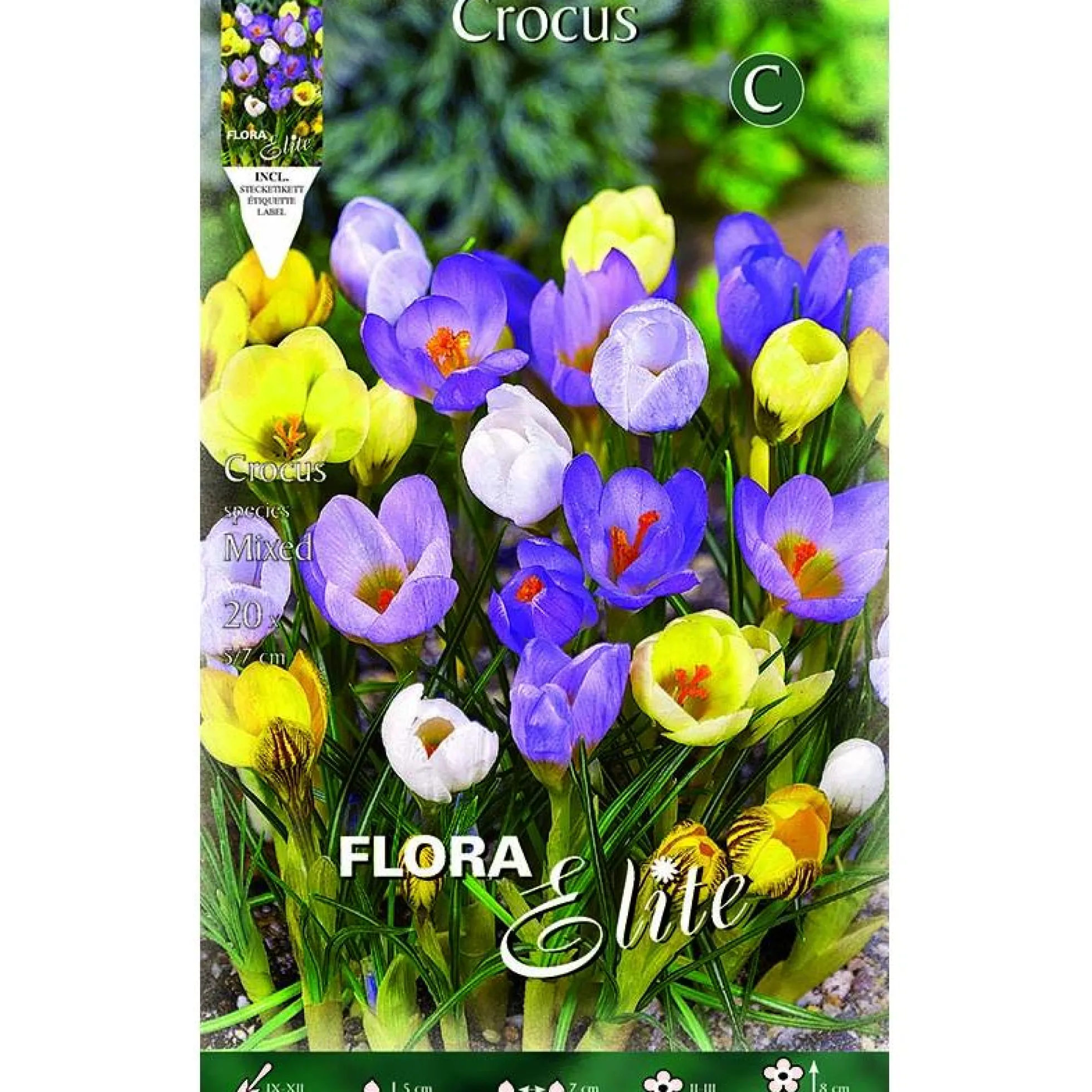 Bulbos Crocus mezcla de colores 15 uds