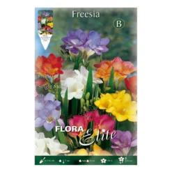 Bulbos Freesia doble mezcla 10 uds