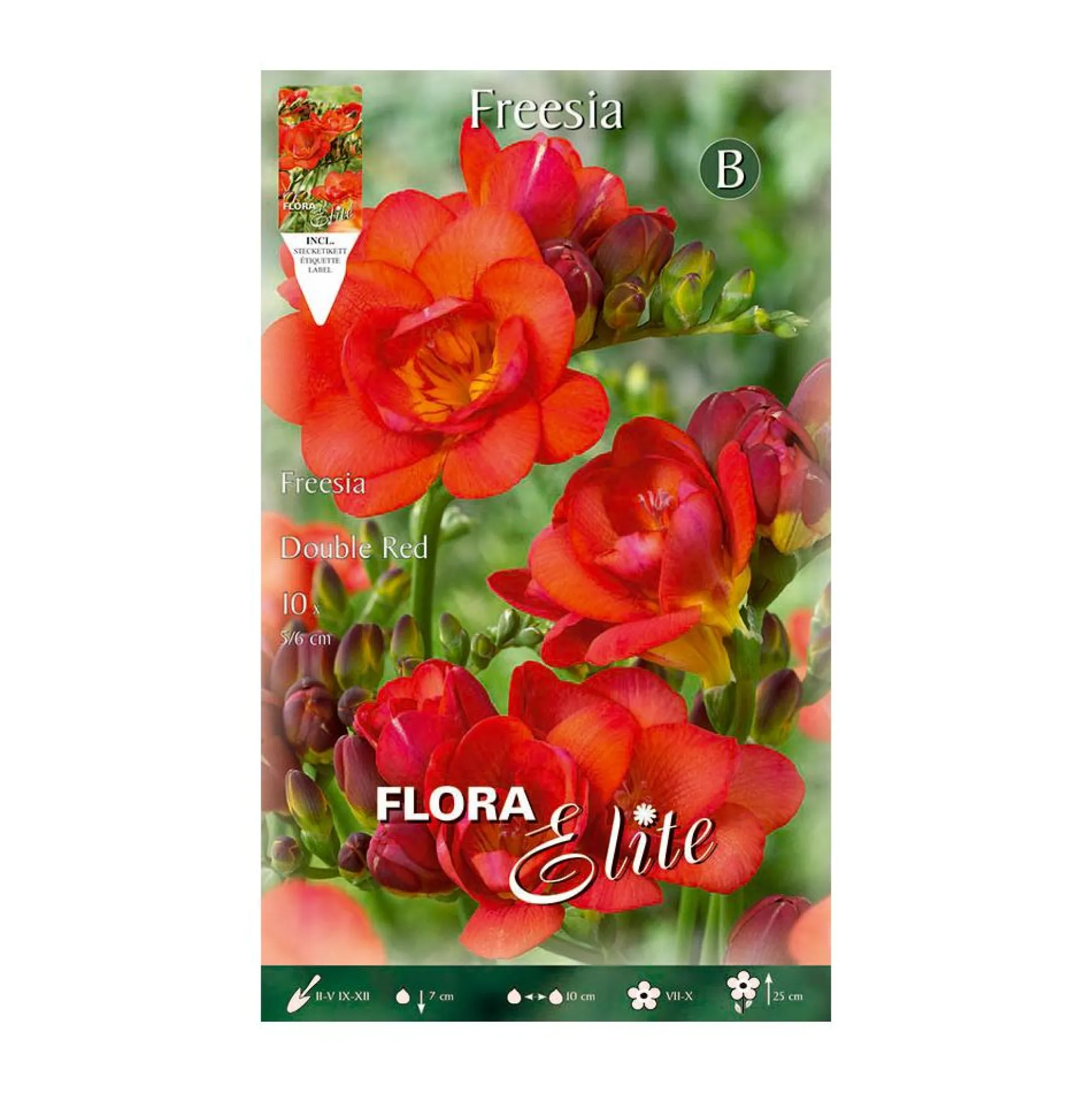 Bulbos Freesia doble naranja 10 uds