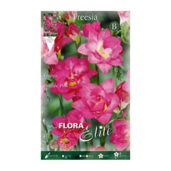 Bulbos Freesia doble violeta 10 uds