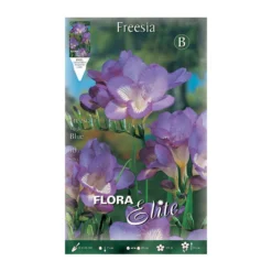 Bulbos Freesia simple azul 10 uds