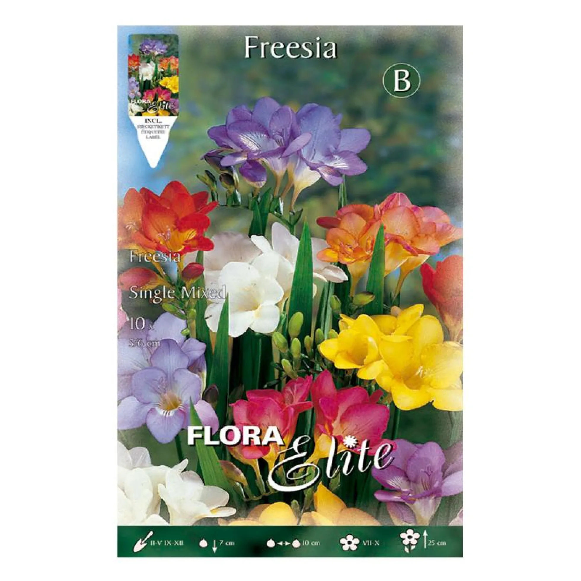 Bulbos Freesia simple mezcla 10 uds