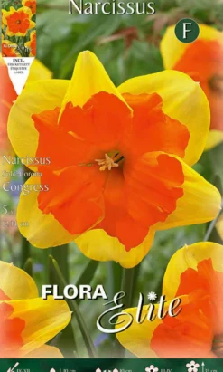 Bulbos Narciso amarillo centro naranja 5 uds