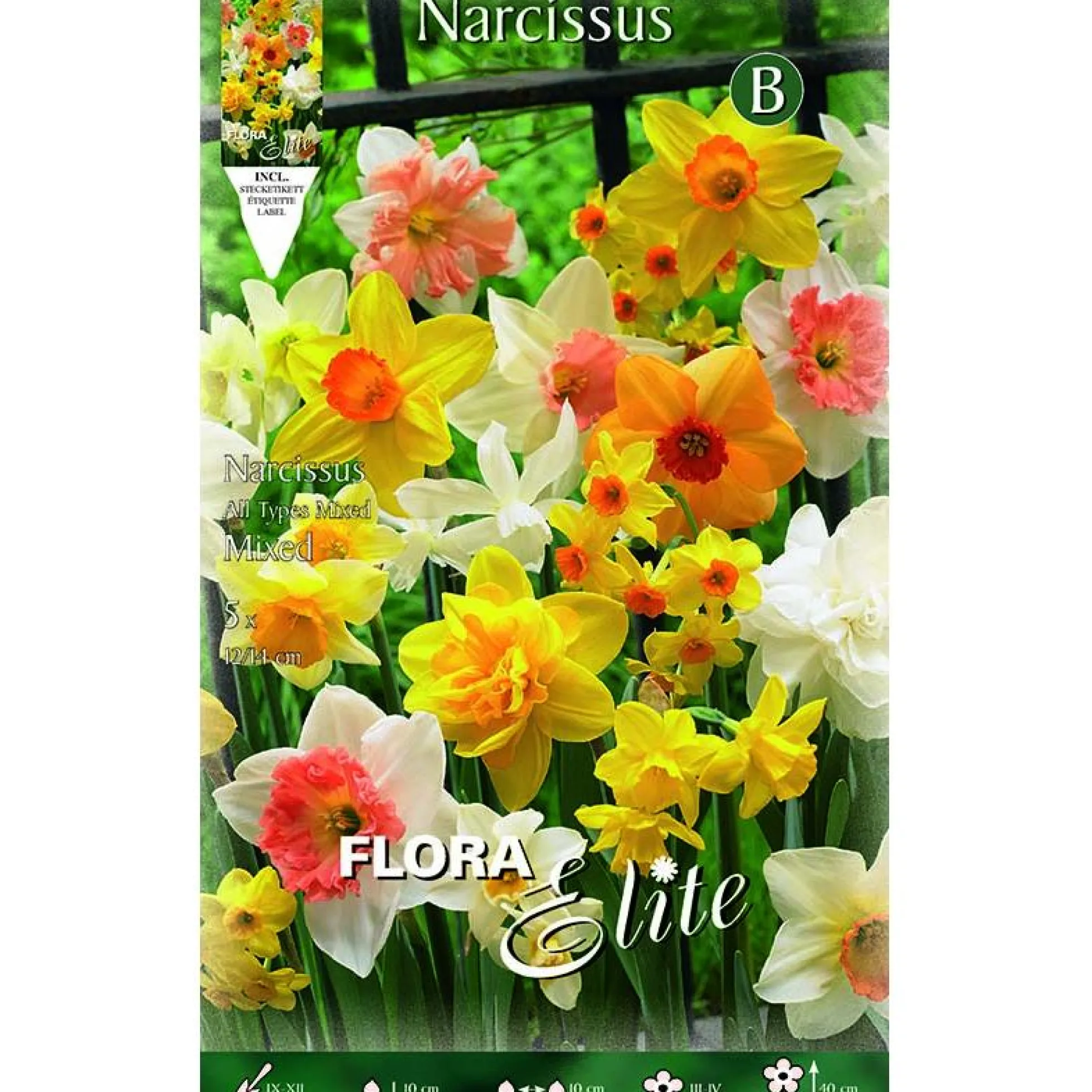 Bulbos Narciso trompeta mezcla 5 uds