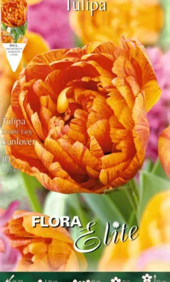 Bulbos Tulipán doble naranja 10 uds