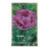 Bulbos Tulipán doble rosa 7 uds
