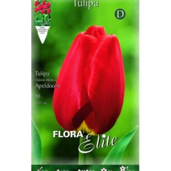 Bulbos Tulipán rojo 10 uds