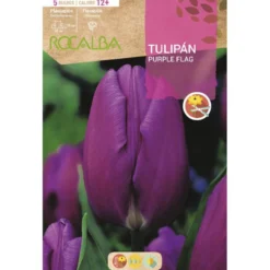 Bulbo Tulipán Purple Flag púrpura 5 uds Rocalba