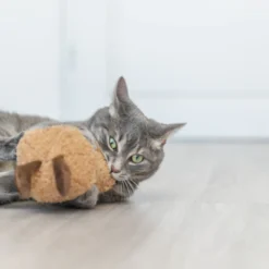 Cacahuete XXL peluche hierba gatera USA 20 cm