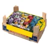 Caja Tray Mix Bulbos Otoño 100 uds