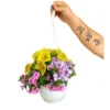 Calibrachoa M14