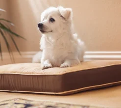Cama Para Perros Y Gatos- Fácil De Lavar - 3 Tamaños Diferentes En Función Del Tamaño Del Perro