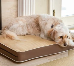 Cama Para Perros Y Gatos- Fácil De Lavar - 3 Tamaños Diferentes En Función Del Tamaño Del Perro