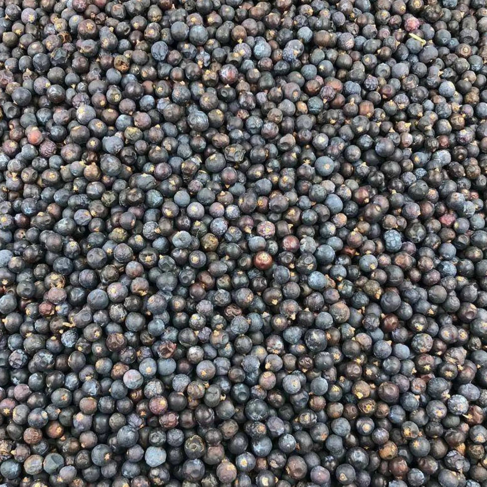 Cardamomo De Fruta Entera Ecológico Granel 5 Kg