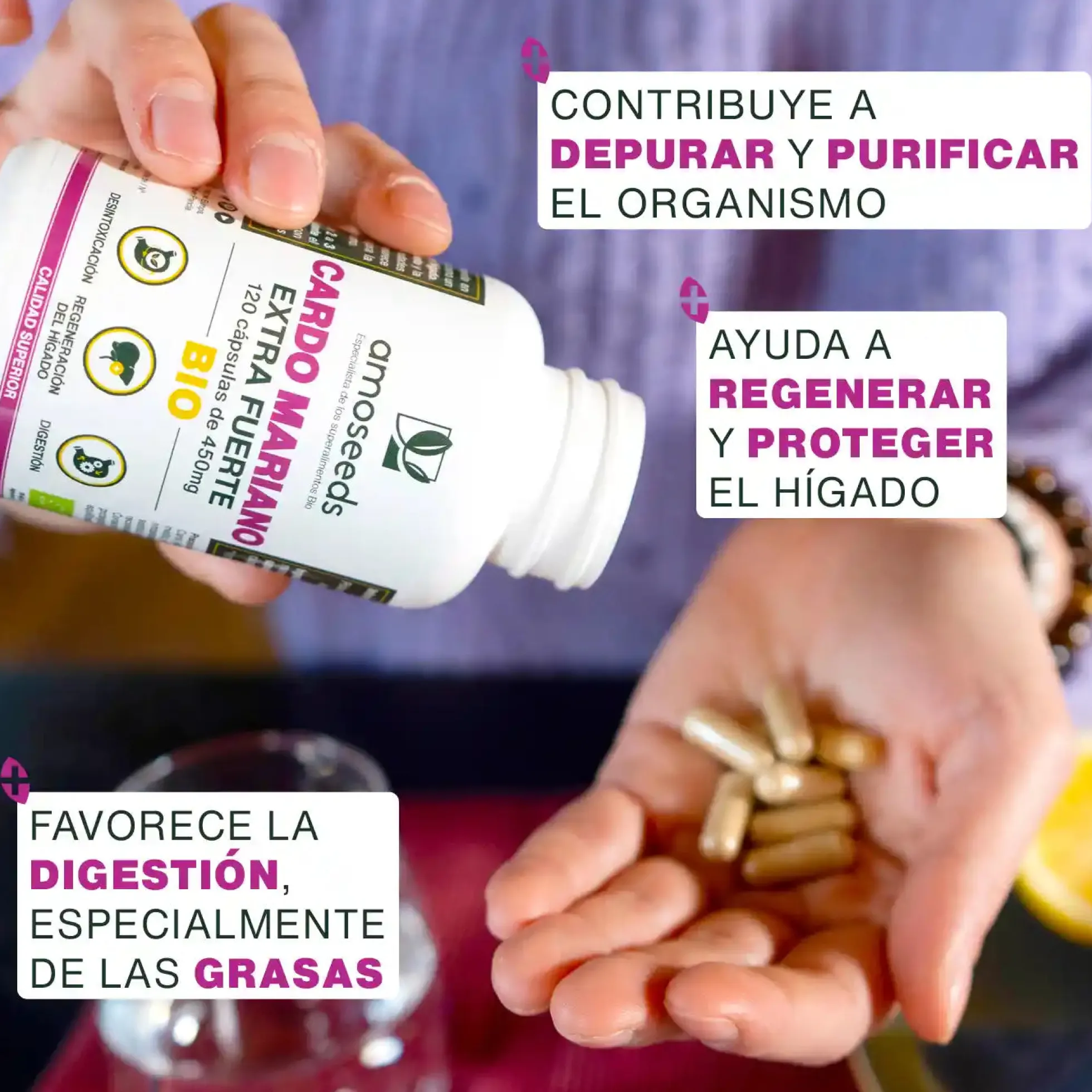 Cardo Mariano Bio, Extra Fuerte | 120 Cápsulas