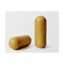Cardo Mariano con Alcachofa, Cúrcuma, Diente de León y Desmodium 150cap. Aldous Labs