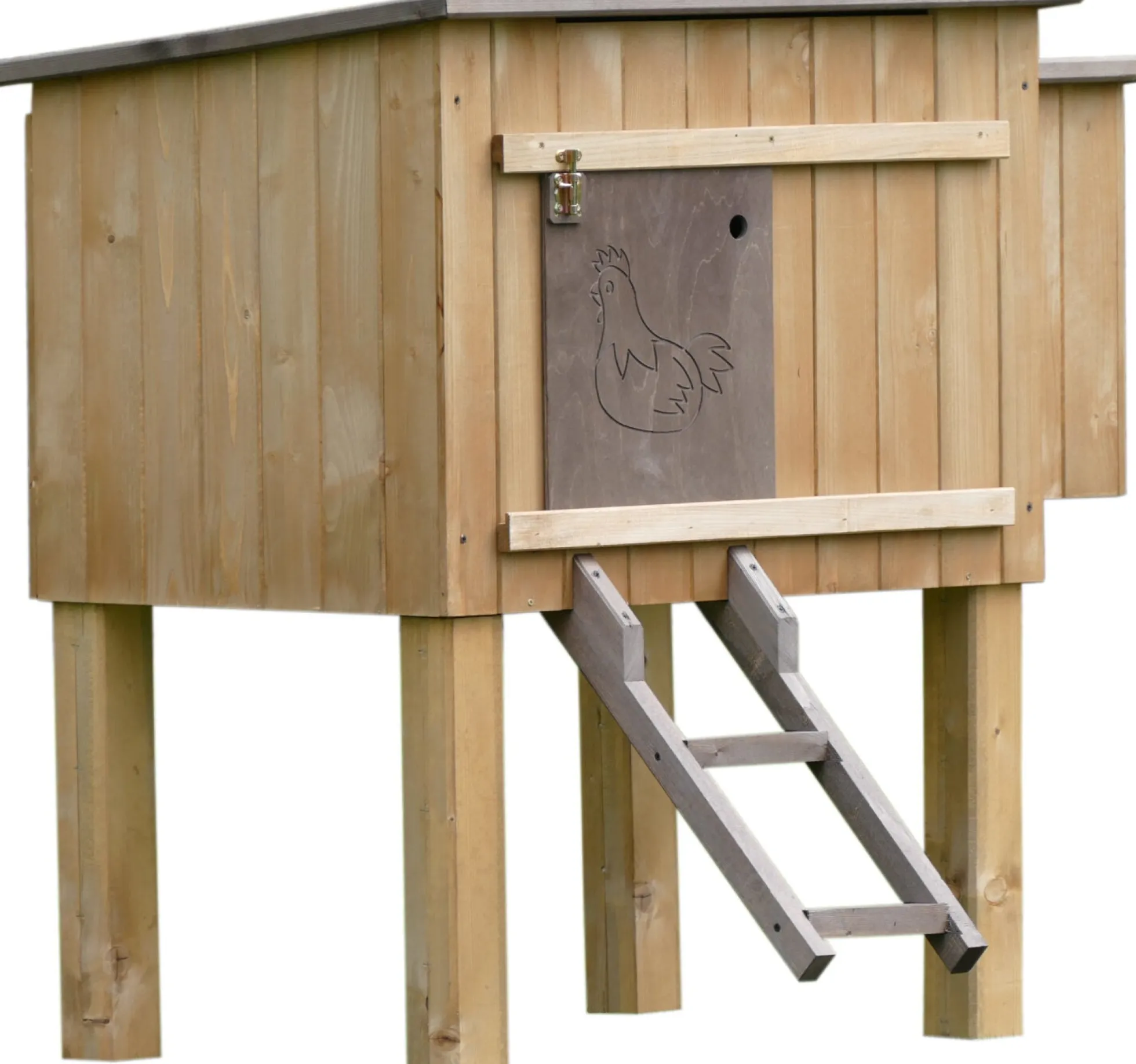 Caseta Aves Modelo Madrid Gaun