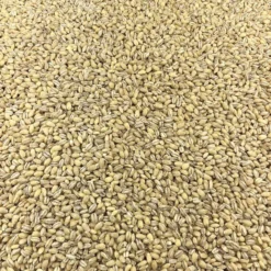 Cebada Ecológica Granel 0,5 Kg