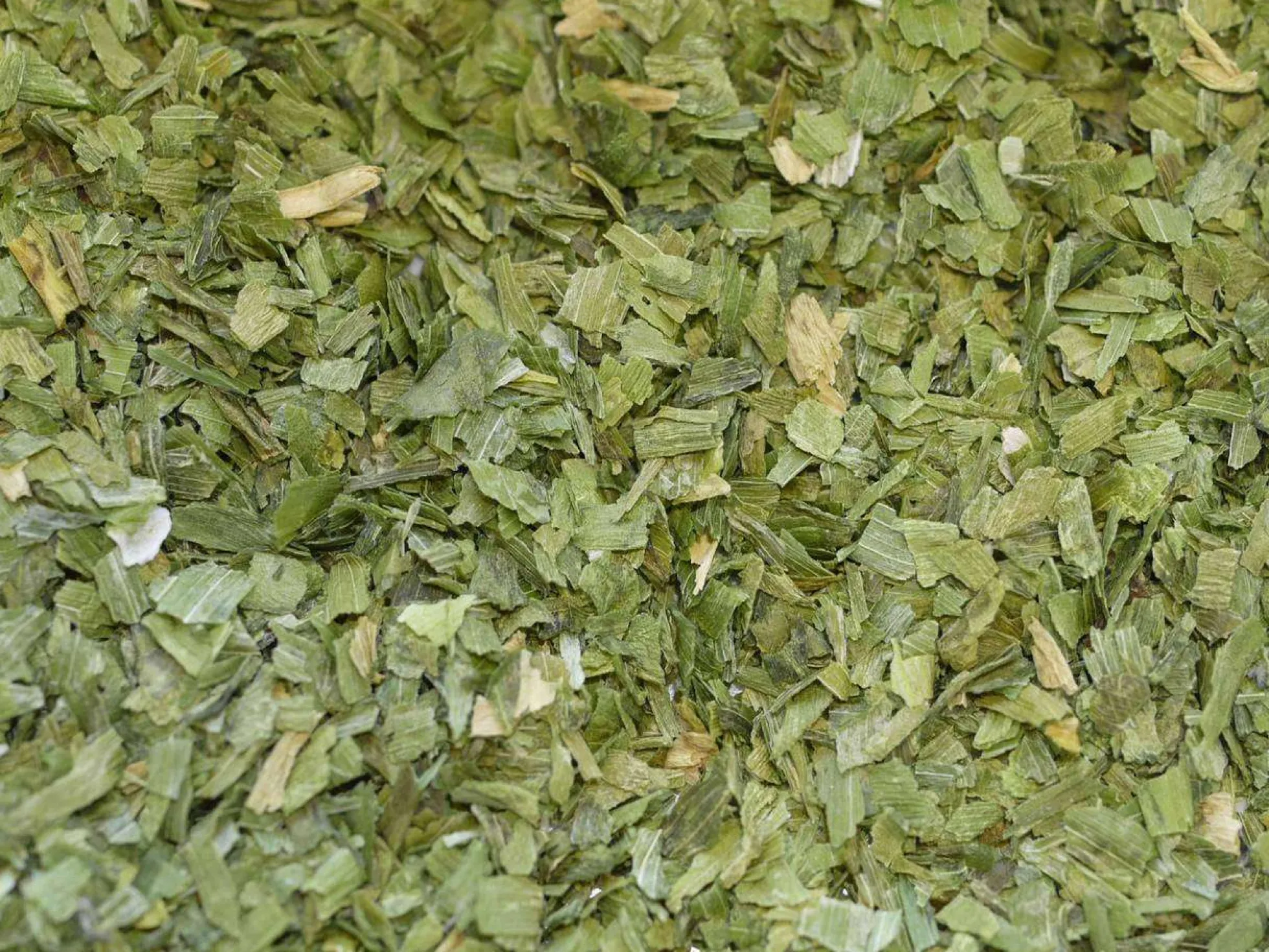 Cebollino Hojas Ecológico Granel 1 Kg