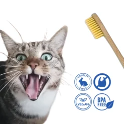 Cepillo de Dientes de Bambú para Perros y Gatos