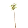 Cerezo Burlat Maceta 140cm