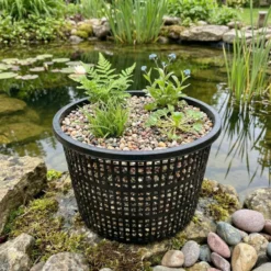 Cesta Estanque - 5 Unidades - Redonda - Ø22 Cm - Cestas Robustas