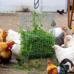 Cesta Para Hierba - Forrajera Para Aves De Corral - Comedero Antiestrés Para Gallinas - Acero Galvanizado