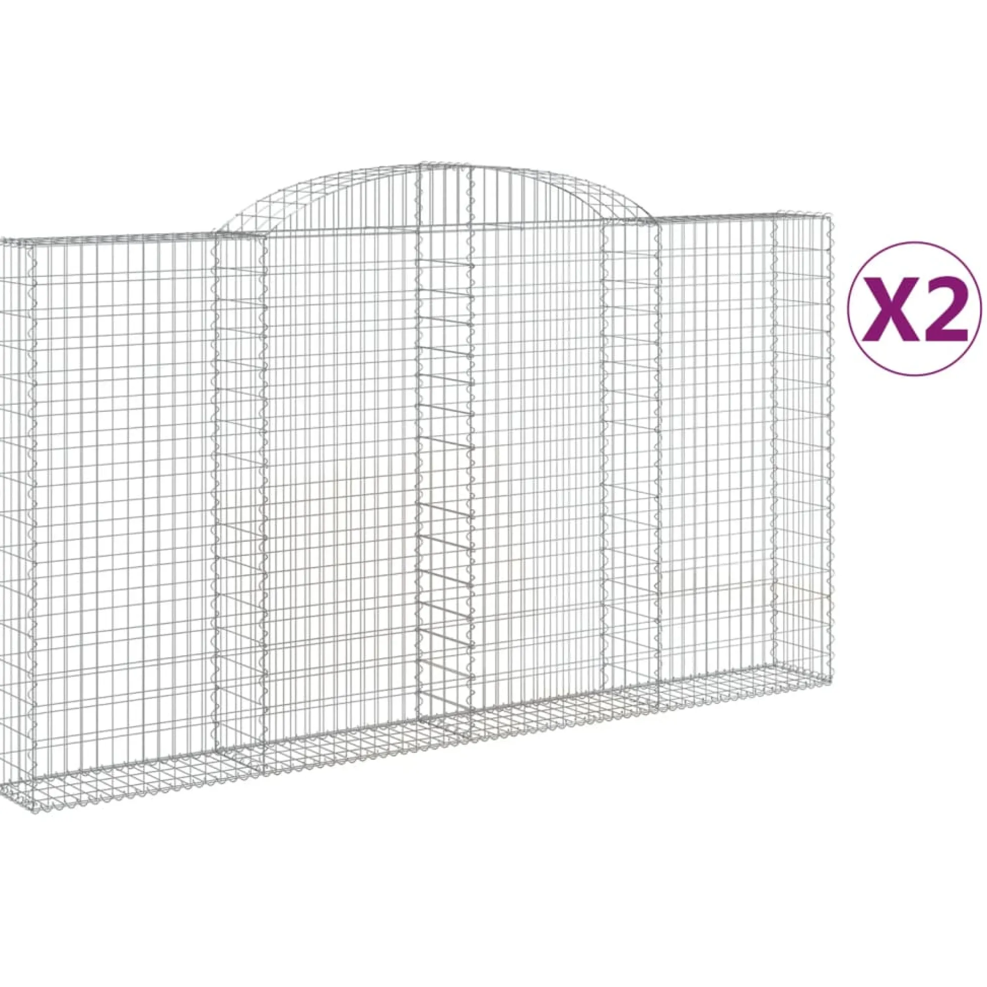 Cestas De Gaviones 2 Uds Forma De Arco Hierro 300x30x160/180 Cm