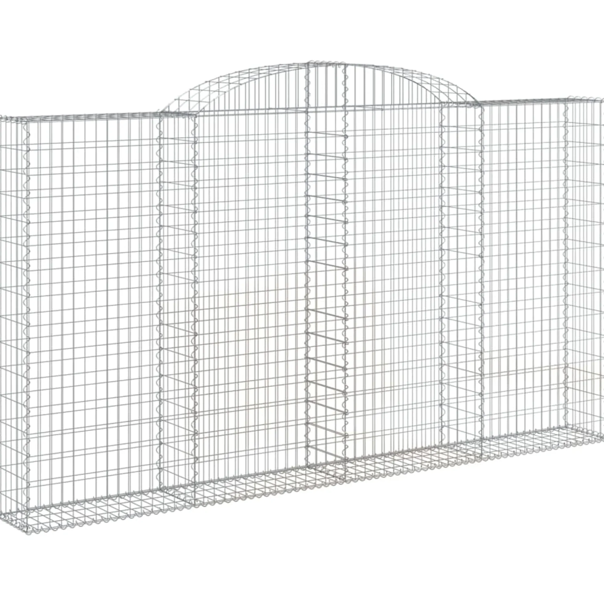 Cestas De Gaviones 2 Uds Forma De Arco Hierro 300x30x160/180 Cm