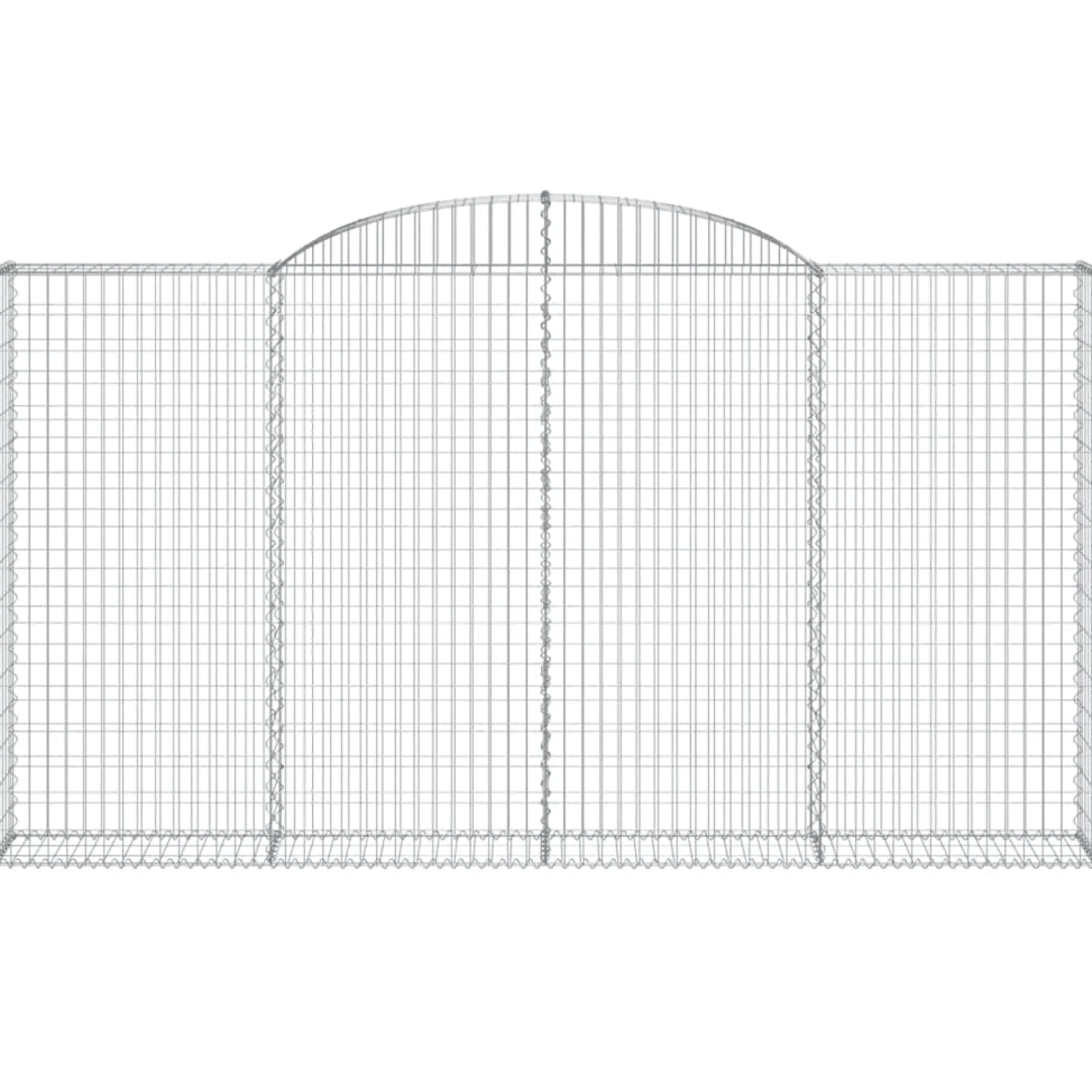 Cestas De Gaviones 2 Uds Forma De Arco Hierro 300x30x160/180 Cm