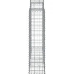 Cestas De Gaviones 2 Uds Forma De Arco Hierro 200x50x160/180 Cm