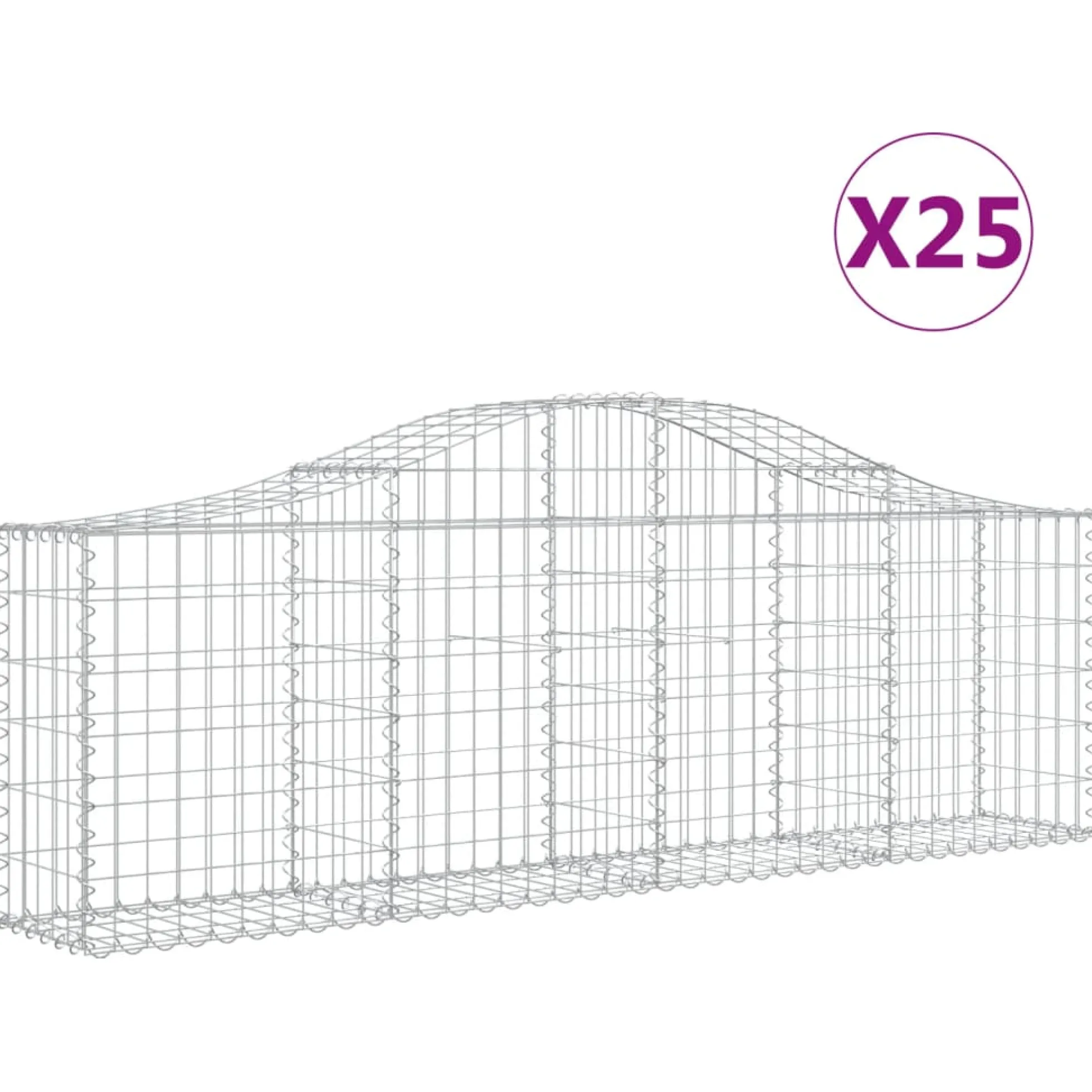 Cestas De Gaviones 25 Uds Forma De Arco Hierro 200x30x60/80 Cm