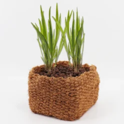 10 Cestas Para Plantas De Coco 25 X 25 X 20 Cm Cesta Para Estanque Para Estera De Banco Y Estera De Terraplén