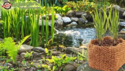 10 Cestas Para Plantas De Coco 25 X 25 X 20 Cm Cesta Para Estanque Para Estera De Banco Y Estera De Terraplén