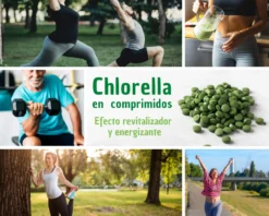 Chlorella Ecológica De Pared Celular Rota Ecospirulina 200 Comprimidos