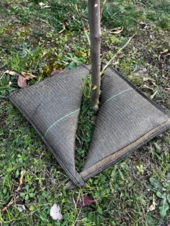 Cojín De Riego Para Plantas Tree’bed 300