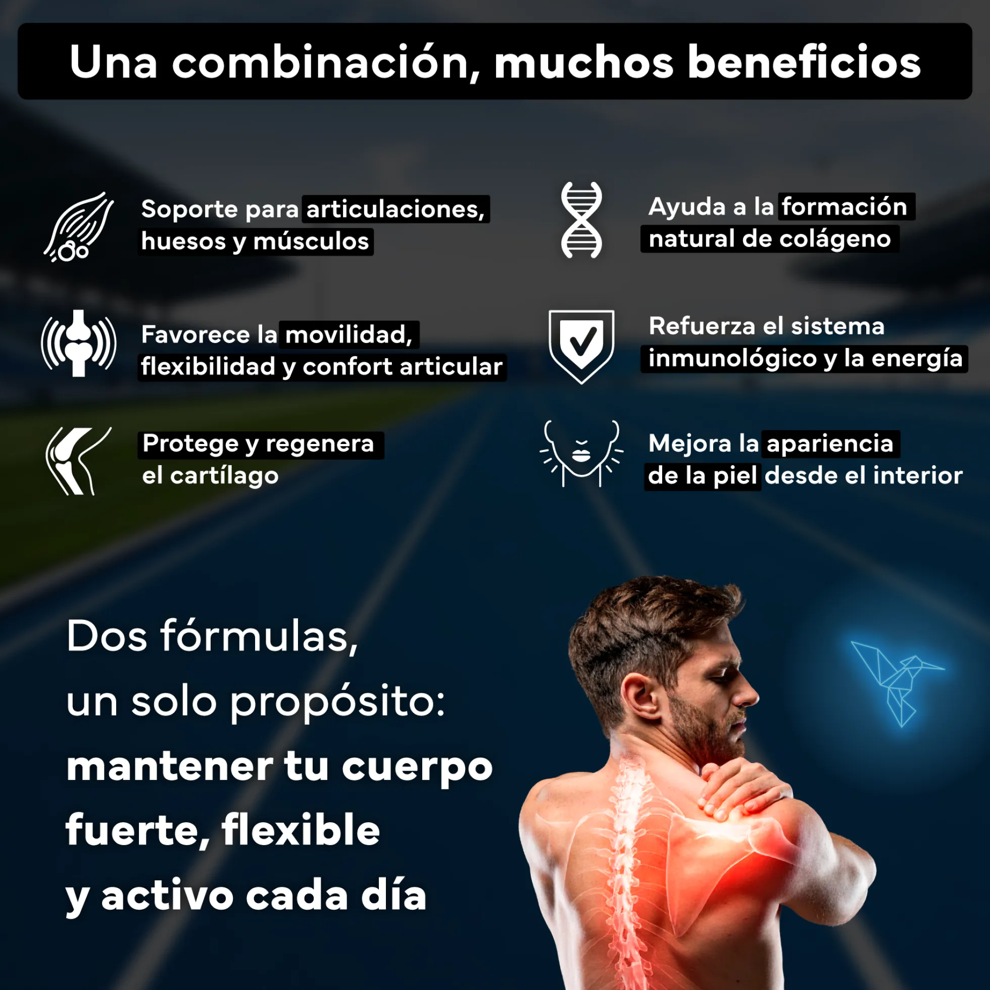 Colágeno Marino Con Magnesio + Glucosamina Condroitina Msm 6en1. Sevens Nutrition. Cuidado Articular, Óseo Y Cutáneo