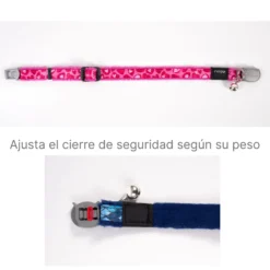 Collar Para Gato Fashioncat Estampado Zebra Rogz Ajustable 20-31cm