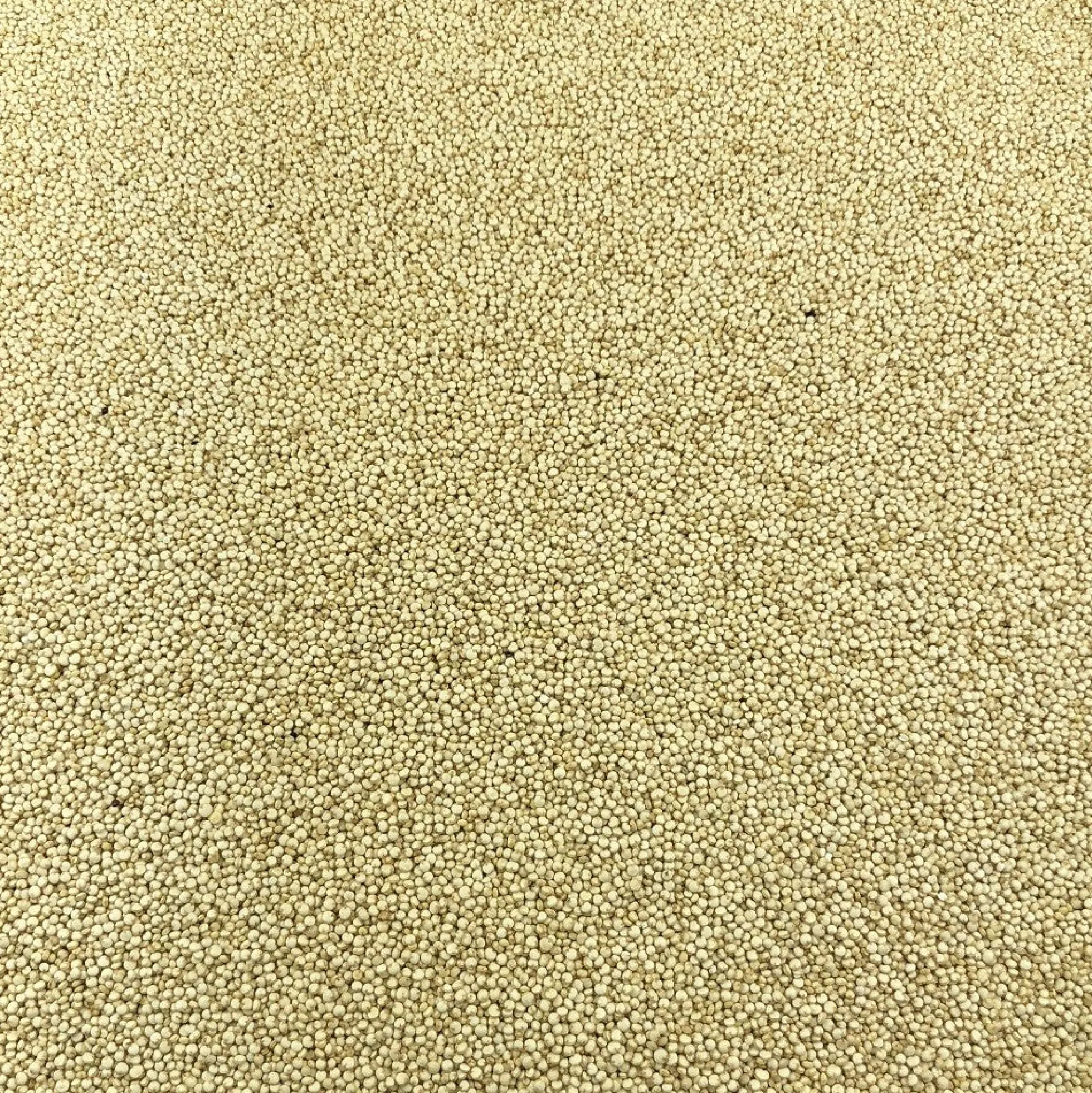 Combava Lima Kaffir Hojas Secas Bio Granel 0,125 Kg