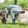 Comedero Para Gallinas Robust® | Tolva Antidesperdicio De Acero Galvanizado Para Exterior | Altura Regulable (24kg)