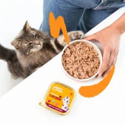 Comida húmeda gatos paté Tarrina Pollo de corral Edgard & Cooper 85 g