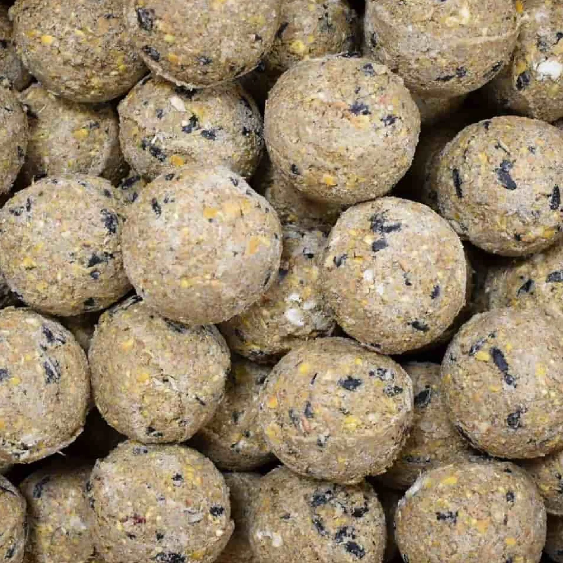 Comida Para Pájaros Silvestres, Bolas De Grasa Con Insectos, 100 X 90 Gramos Sin Red