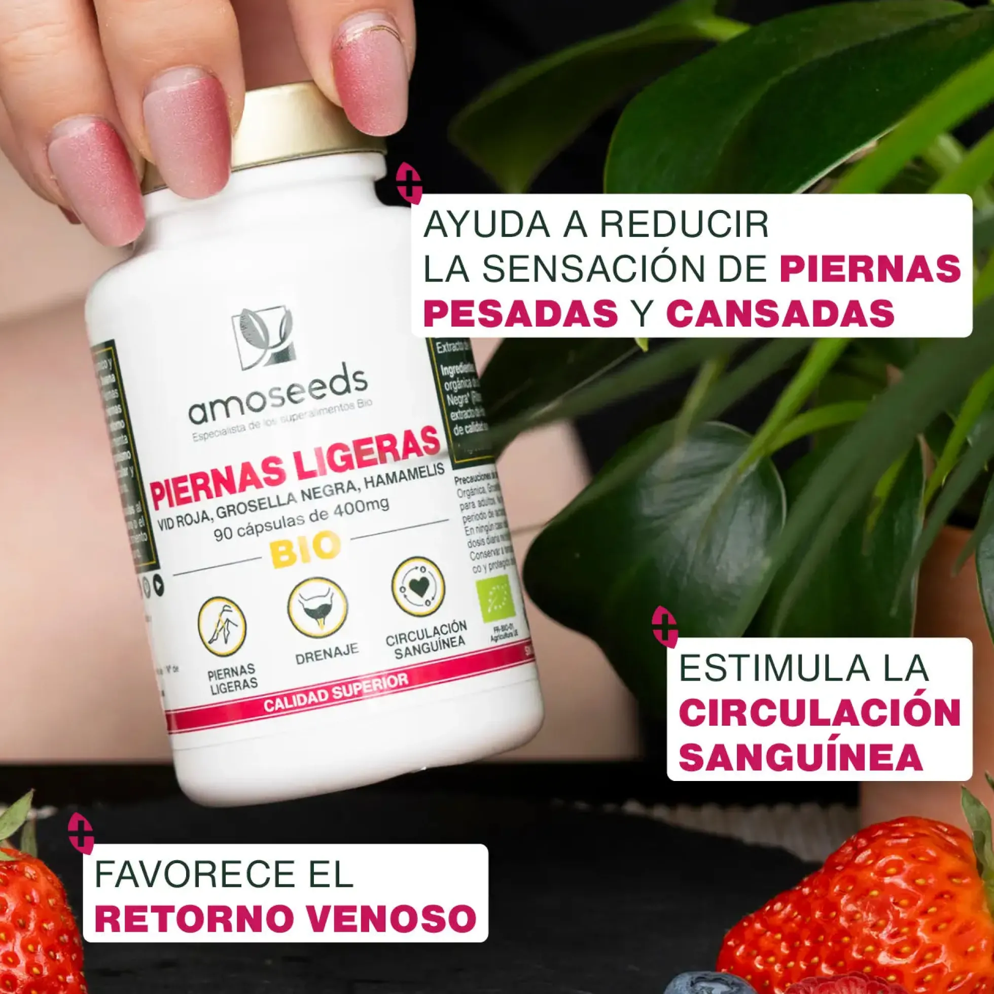 Complejo Piernas Ligeras Bio | 90 Cápsulas