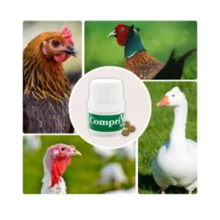 CompriVerm – Complemento nutricional en comprimidos para aves de corral (anátidas, gallinas, faisanes) – 8 comprimidos